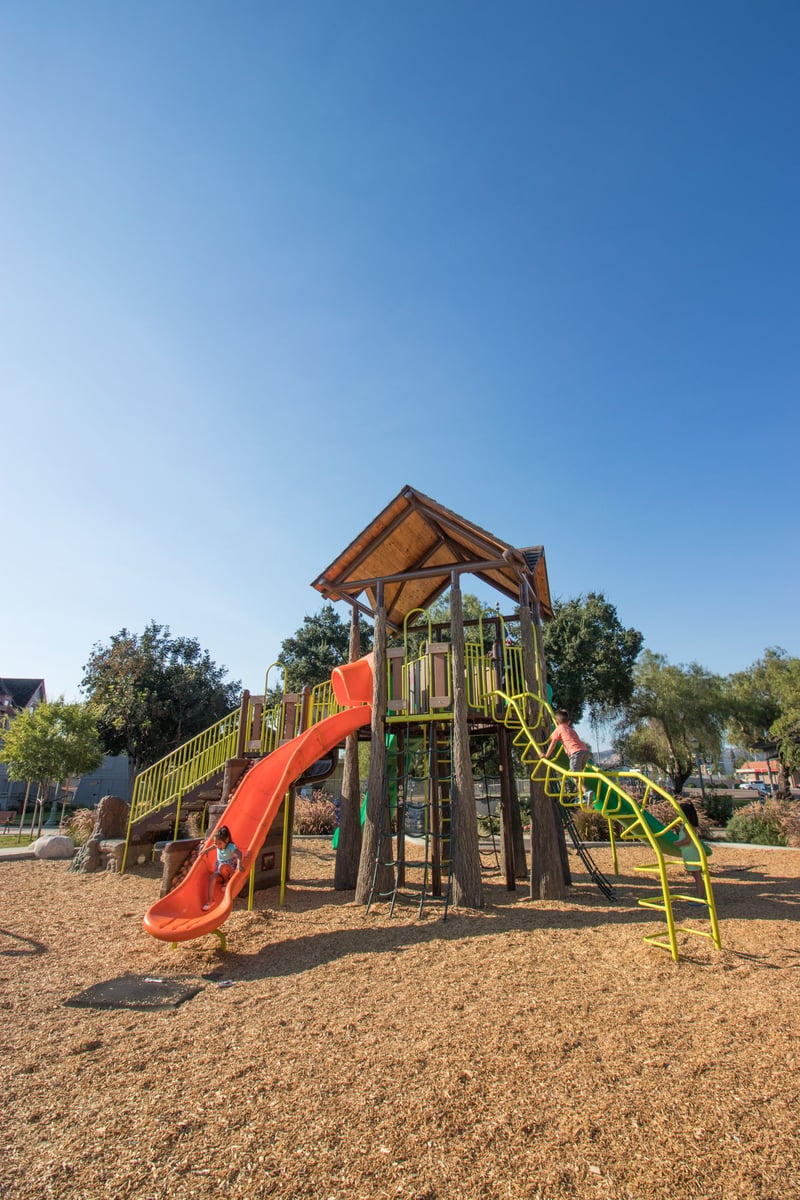 Grape Day Park preview 14